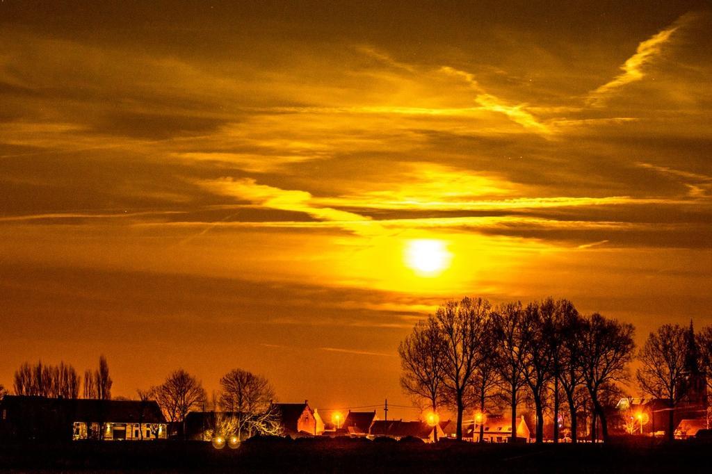 Stilleven * Veurne